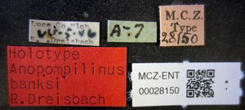 Media type: image;   Entomology 28150 Aspect: labels